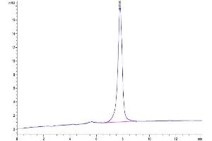The purity of Mouse APLN is greater than 95 % as determined by SEC-HPLC.