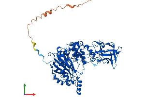 Protein Structure (PS) image for UDP-N-Acetyl-alpha-D-Galactosamine:polypeptide N-Acetylgalactosaminyltransferase 12 (GalNAc-T12) (GALNT12) (AA 1-576) protein (His tag) (ABIN7564344)