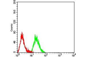 Flow cytometric analysis of Raji cells using CD140a mouse mAb (green) and negative control (red). (PDGFRA 抗体  (AA 179-361))