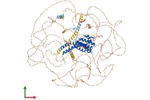 AlphaFold protein structure predicition of Mouse Recombinant Aff2 Protein, UniprotID O55112
