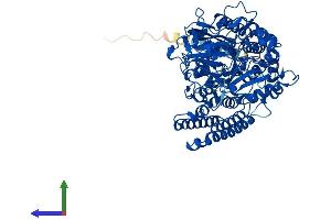 Protein Structure (PS) image for Folate Hydrolase (Prostate-Specific Membrane Antigen) 1 (FOLH1) (AA 1-752) protein (His tag) (ABIN7562315)