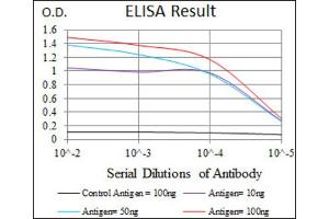 Red: Control Antigen (100ng) ; Purple: Antigen (10ng) ; Green: Antigen (50ng) ; Blue: Antigen (100ng). (SRY 抗体  (AA 1-204))