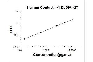Contactin 1 (CNTN1) ELISA Kit