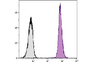 SJL mouse splenocytes were stained with Mouse Anti-Mouse CD45. (CD45.1 抗体  (Cy5))