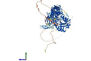 Protein Structure (PS) image for PDX1 C-terminal Inhibiting Factor 1 (PCIF1) (AA 1-706) protein (His tag) (ABIN7556541)