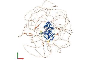 AlphaFold protein structure predicition of Human Recombinant CCNB3 Protein, UniprotID Q8WWL7