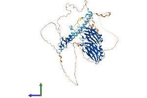 Protein Structure (PS) image for Rabphilin 3A (RPH3A) (AA 1-694) protein (His tag) (ABIN7551541)