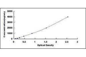 ELISA image for Clusterin (CLU) ELISA Kit (ABIN414571)