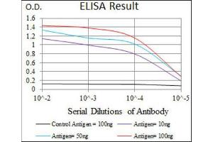 ELISA image for anti-Keratin 13 (KRT13) (AA 143-295) antibody (ABIN1845564)