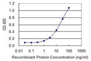 Detection limit for recombinant GST tagged INPP1 is 0. (INPP1 抗体  (AA 300-399))
