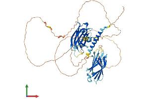 Protein Structure (PS) image for Synaptotagmin XIV (SYT14) (AA 1-555) protein (His tag) (ABIN7544177)