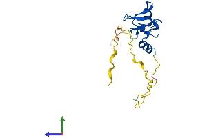 AlphaFold protein structure predicition of Mouse Recombinant Rnf224 Protein, UniprotID Q3UIW8