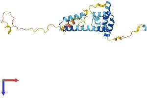 Protein Structure (PS) image for Melanoregulin (MREG) (AA 1-214) protein (His tag) (ABIN7557960)