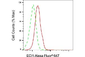 Flow cytometric analysis of ECI1 expression in HAP-1 cells using ECI1 antibody (ABIN7798453), 1:2,000).
