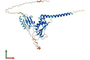 AlphaFold protein structure predicition of Human Recombinant SLFNL1 Protein, UniprotID Q499Z3