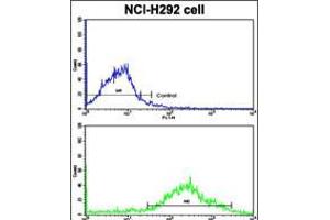 Flow cytometric analysis of NCI-H292 cells using MLX Antibody (bottom histogram) compared to a negative control cell (top histogram). (MLX 抗体  (AA 125-151))