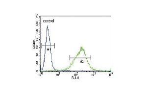 GABRA2 Antibody (C-term) (ABIN653245 and ABIN2842770) flow cytometric analysis of NCI- cells (right histogram) compared to a negative control cell (left histogram). (GABRA2 抗体  (C-Term))