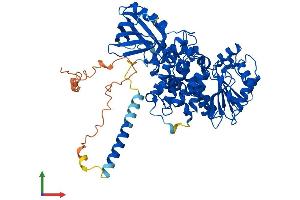 AlphaFold protein structure predicition of Mouse Recombinant Mtmr6 Protein, UniprotID Q8VE11