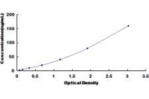 Typical standard curve (IGFBP6 ELISA 试剂盒)