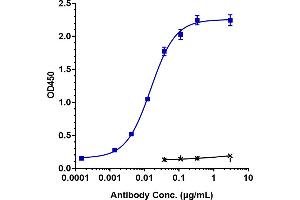 Immobilized human B7-H5 / VISTA His at 2 μg/mL can bind Anti-B7-H5 / VISTA Reference Antibody (onvatilimab), EC50=0. (Recombinant VISTA (Onvatilimab Biosimilar) 抗体)