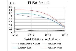Black line: Control Antigen (100 ng), Purple line: Antigen(10 ng), Blue line: Antigen (50 ng), Red line: Antigen (100 ng), (CD166 抗体  (AA 48-216))