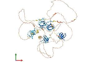 AlphaFold protein structure predicition of Human Recombinant SH3D19 Protein, UniprotID Q5HYK7