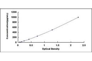 Typical standard curve (MYH4 ELISA 试剂盒)