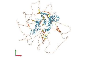 Protein Structure (PS) image for Zinc Finger Protein, Multitype 1 (ZFPM1) (AA 1-995) protein (His tag) (ABIN7562342)