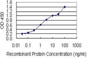 Detection limit for recombinant GST tagged FBXO43 is 0. (FBXO43 抗体  (AA 1-110))