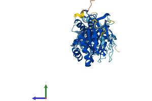 AlphaFold protein structure predicition of Mouse Recombinant Ifi44l Protein, UniprotID Q9BDB7