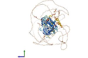 Protein Structure (PS) image for Pleckstrin and Sec7 Domain Protein (PSD) (AA 1-1024) protein (His tag) (ABIN7563806)