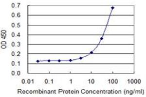 Detection limit for recombinant GST tagged FICD is 1 ng/ml as a capture antibody. (FICD 抗体  (AA 1-449))