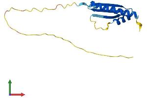 AlphaFold protein structure predicition of Human Recombinant LAGE3 Protein, UniprotID Q14657
