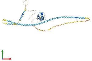 AlphaFold protein structure predicition of Mouse Recombinant Scara5 Protein, UniprotID Q8K299