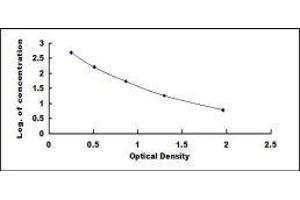 ELISA image for Fibroblast Growth Factor 21 (FGF21) ELISA Kit (ABIN2761940)