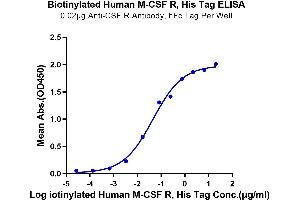 ELISA image for Colony Stimulating Factor 1 Receptor (CSF1R) (AA 20-512) protein (His-Avi Tag,Biotin) (ABIN7274428)