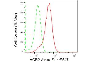 Flow cytometric analysis of AGR2 expression in HepG2 cells using AGR2 antibody (ABIN7797627), 1:2,000). (Recombinant AGR2 抗体)