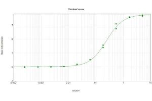 ELISA Results of Rabbit Anti-Mutarotase Antibody Biotin Conjugated tested against purified Mutarotase. (Mutarotase 抗体 (Biotin))