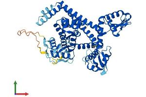 Protein Structure (PS) image for Polymerase (RNA) III (DNA Directed) Polypeptide C (62kD) (POLR3C) (AA 1-533) protein (His tag) (ABIN7564983)
