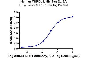 Immobilized Human CHRDL1, His Tag at 1 μg/mL (100 μL/Well) on the plate.
