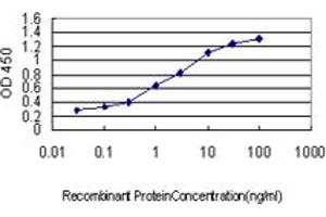 Detection limit for recombinant GST tagged HOXC10 is approximately 0. (HOXC10 抗体  (AA 158-257))