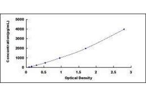 ELISA image for Tumor Necrosis Factor (Ligand) Superfamily, Member 13b (TNFSF13B) ELISA Kit (ABIN415813)