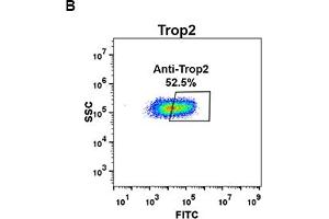 Flow Cytometry (FACS) image for anti-Tumor-Associated Calcium Signal Transducer 2 (TACSTD2) (AA 27-274) antibody (ABIN7092875) (TACSTD2 抗体  (AA 27-274))