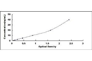 Typical standard curve (PCOLCE ELISA 试剂盒)