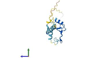 Protein Structure (PS) image for Zinc Finger, HIT-Type Containing 1 (ZNHIT1) (AA 1-154) protein (His tag) (ABIN7545838)