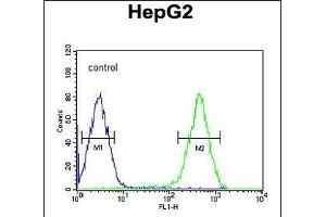 ATXN2L Antibody (C-term) (ABIN651376 and ABIN2840210) flow cytometric analysis of HepG2 cells (right histogram) compared to a negative control cell (left histogram). (Ataxin 2-Like 抗体  (C-Term))