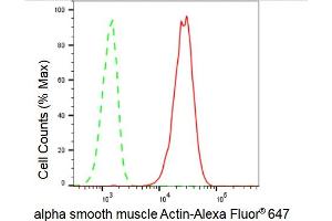 Flow cytometric analysis of alpha smooth muscle Actin expression in C2C12 cells using alpha smooth muscle Actin antibody (ABIN7797465), 1:2,000). (Recombinant Smooth Muscle Actin 抗体)
