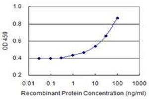 Detection limit for recombinant GST tagged NAT14 is 1 ng/ml as a capture antibody. (NAT14 抗体  (AA 1-56))