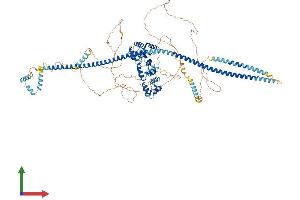 Protein Structure (PS) image for PTPRF Interacting Protein, Binding Protein 1 (Liprin beta 1) (PPFIBP1) (AA 1-1011) protein (His tag) (ABIN7554412)