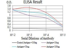 Black line: Control Antigen (100 ng),Purple line: Antigen (10 ng), Blue line: Antigen (50 ng), Red line:Antigen (100 ng) (Cytokeratin 19 抗体  (AA 274-400))